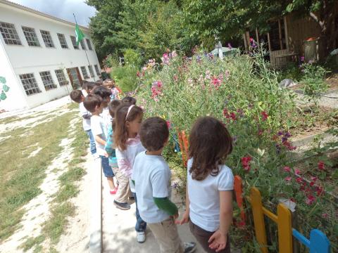 As crianças aproveitam o espaço da horta para desenvolver todos os sentidos e adquirirem competências.